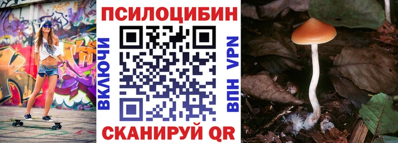 Псилоцибиновые грибы MAGIC MUSHROOMS  Ясногорск 