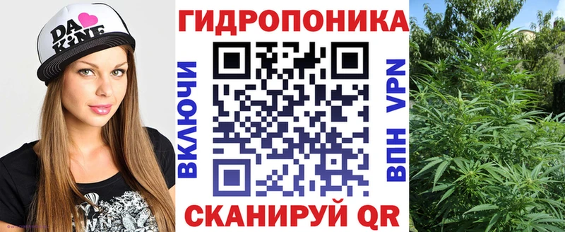 shop официальный сайт  Ясногорск  Конопля план  где продают  